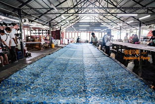 檳城文化探索 一城五國風情的測繪之旅